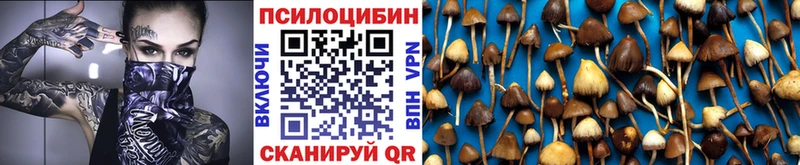 Псилоцибиновые грибы Cubensis  Безенчук 